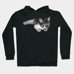 Cat with strange eyes Hoodie